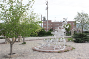 گالری دانشگاه