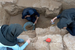 گالری دانشگاه