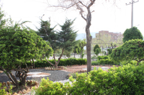 گالری دانشگاه