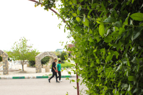 گالری دانشگاه