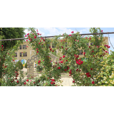 گالری دانشگاه