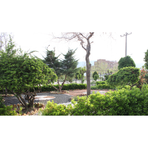 گالری دانشگاه